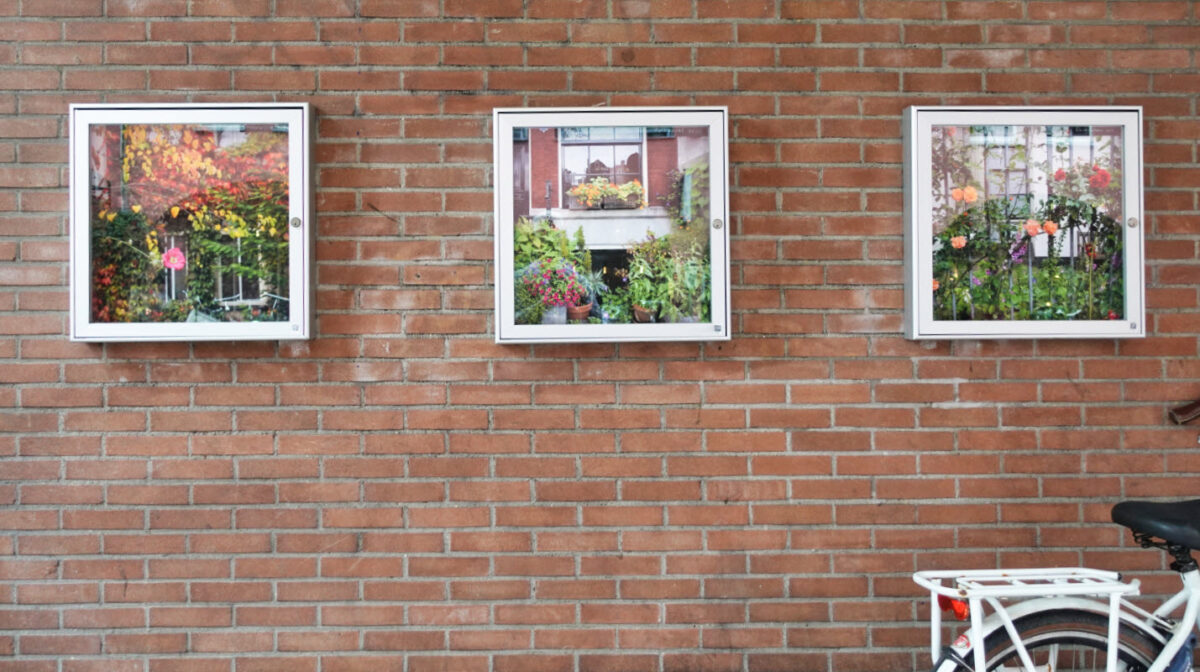 Fototentoonstelling vitrines St Antoniesbreestraat