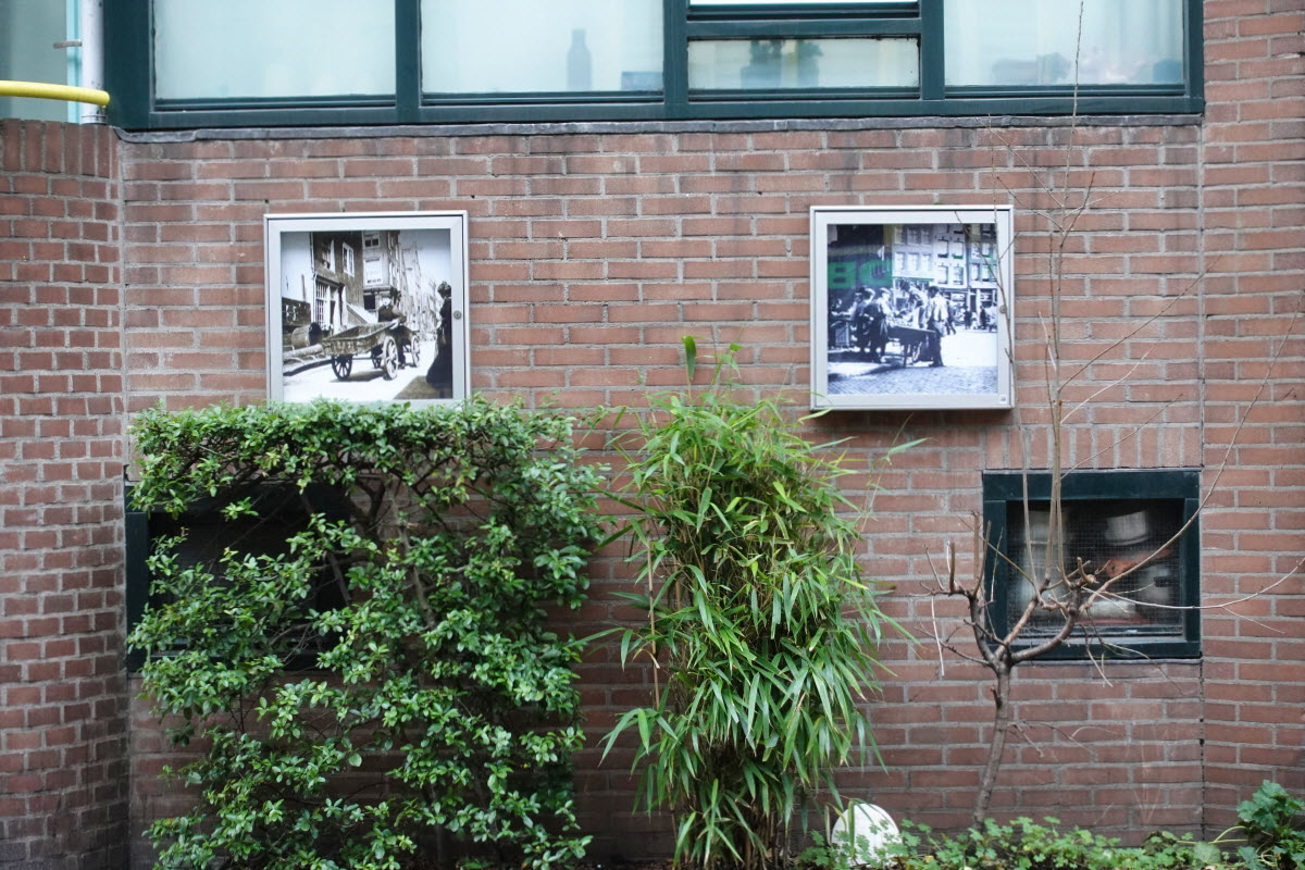 Vitrines winter 2024c