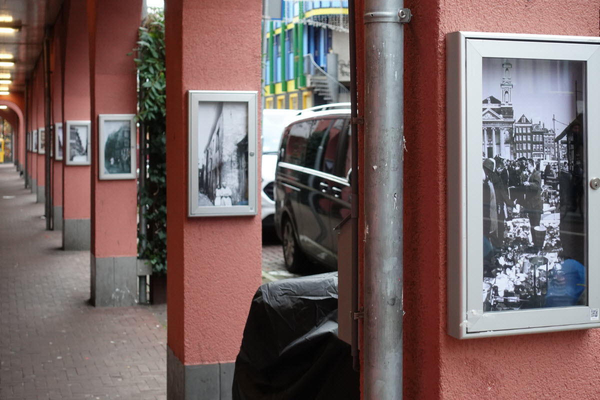 Vitrines winter 2024e