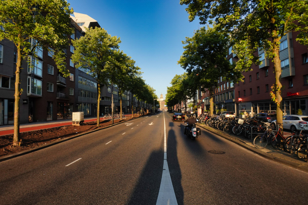 Vergroening Valkenburgerstraat 26062024